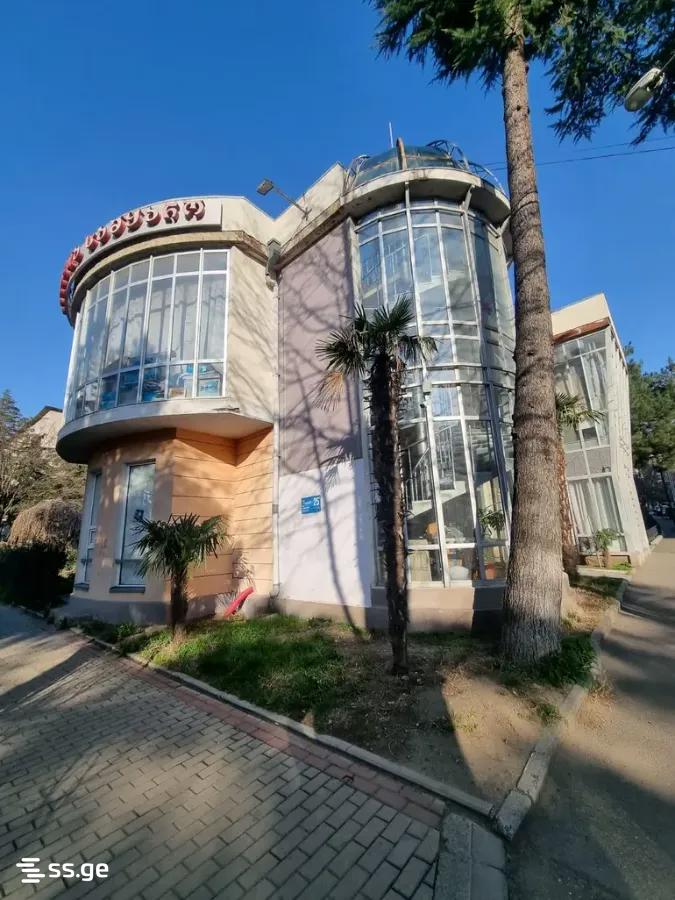 Shopping Property For Sale. Zugdidi view 3