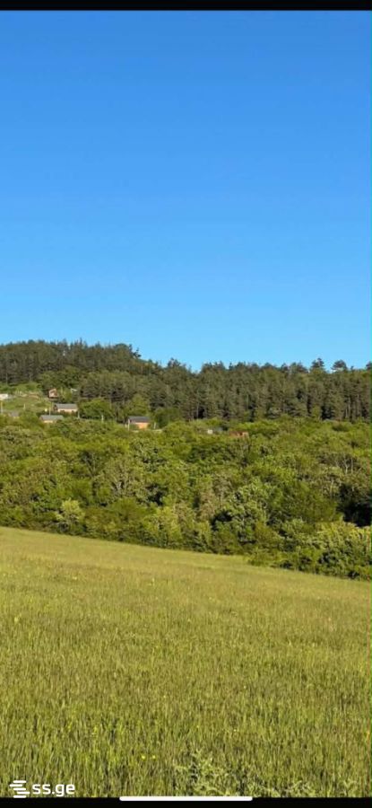 Land For Sale. Orbeti view 1