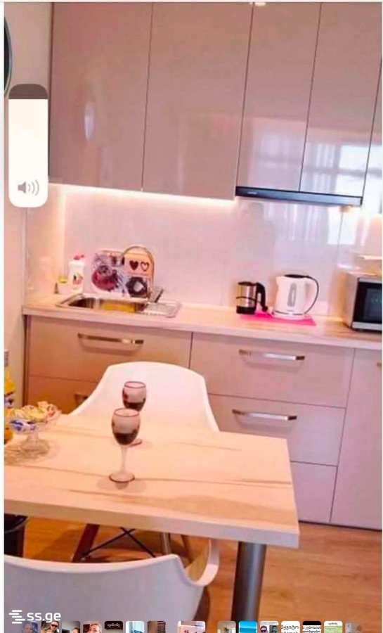 1 Room Flat Daily Rent. Batumi view 4