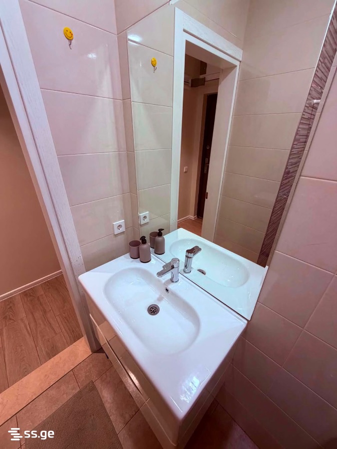 1 Room Flat Daily Rent. Batumi view 9