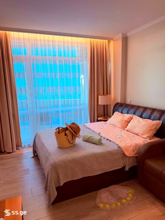 1 Room Flat Daily Rent. Batumi view 10