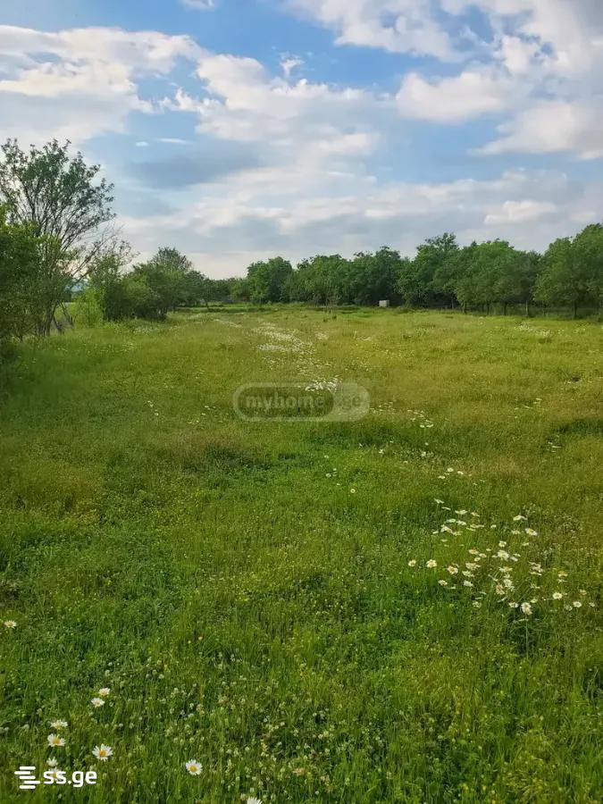 Land For Sale. Dusheti view 11