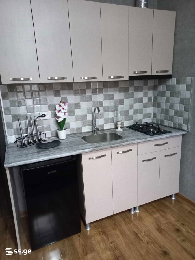 1 Room Flat Daily Rent. Borjomi view 3
