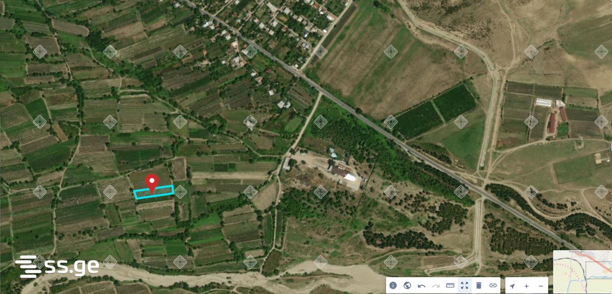 For Sale Sasoplo-Sameurneo Land Plot Sagarejos Munitsipalitetshi view 2