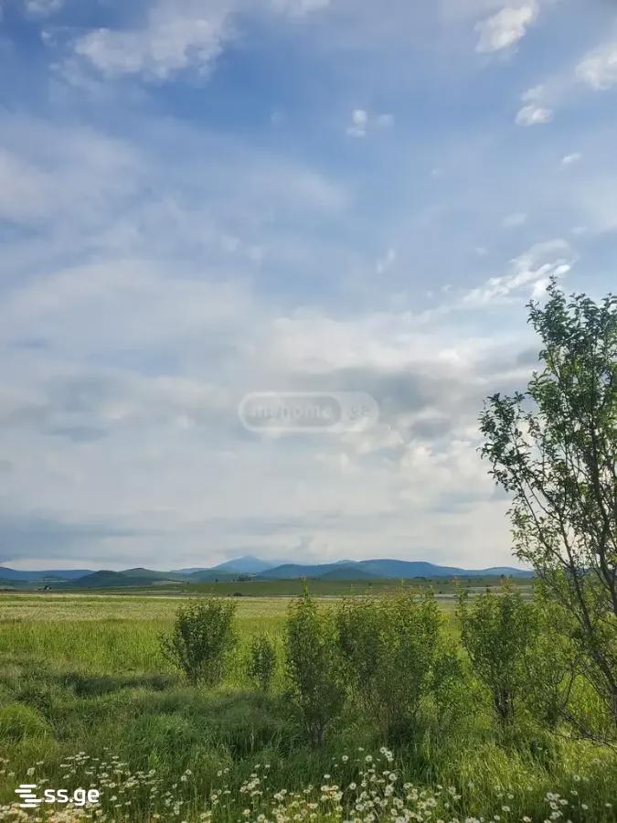 Land For Sale. Dusheti view 7