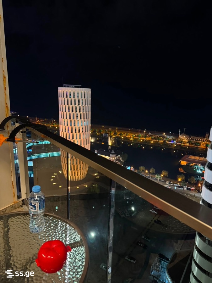 1 Room Flat Daily Rent. Batumi view 2