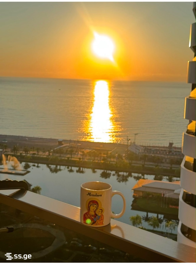 1 Room Flat Daily Rent. Batumi view 7