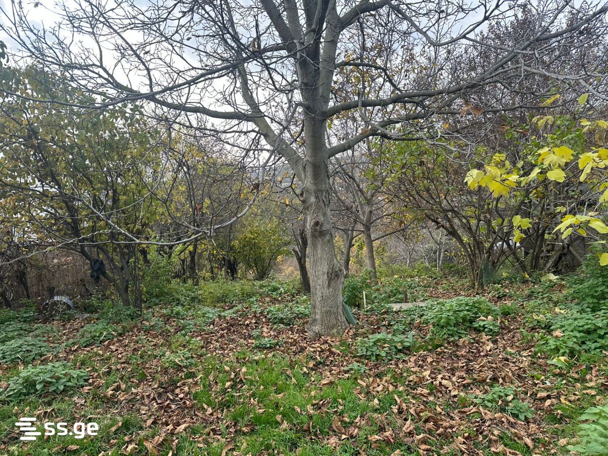 Land For Sale. Mtatsminda view 3