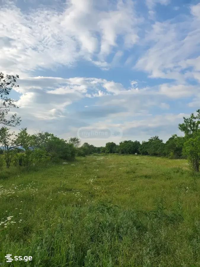 Land For Sale. Dusheti view 14