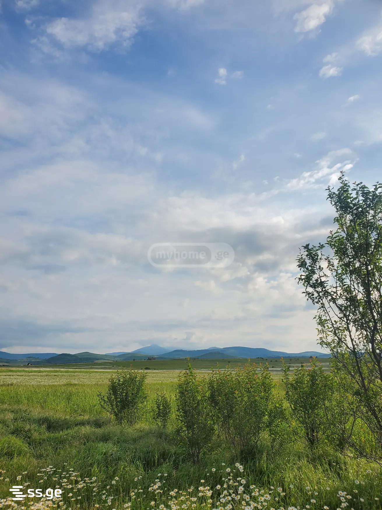 Продажа Земля в Душети view 4
