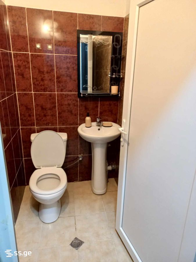 1 Room Flat Daily Rent. Borjomi view 5
