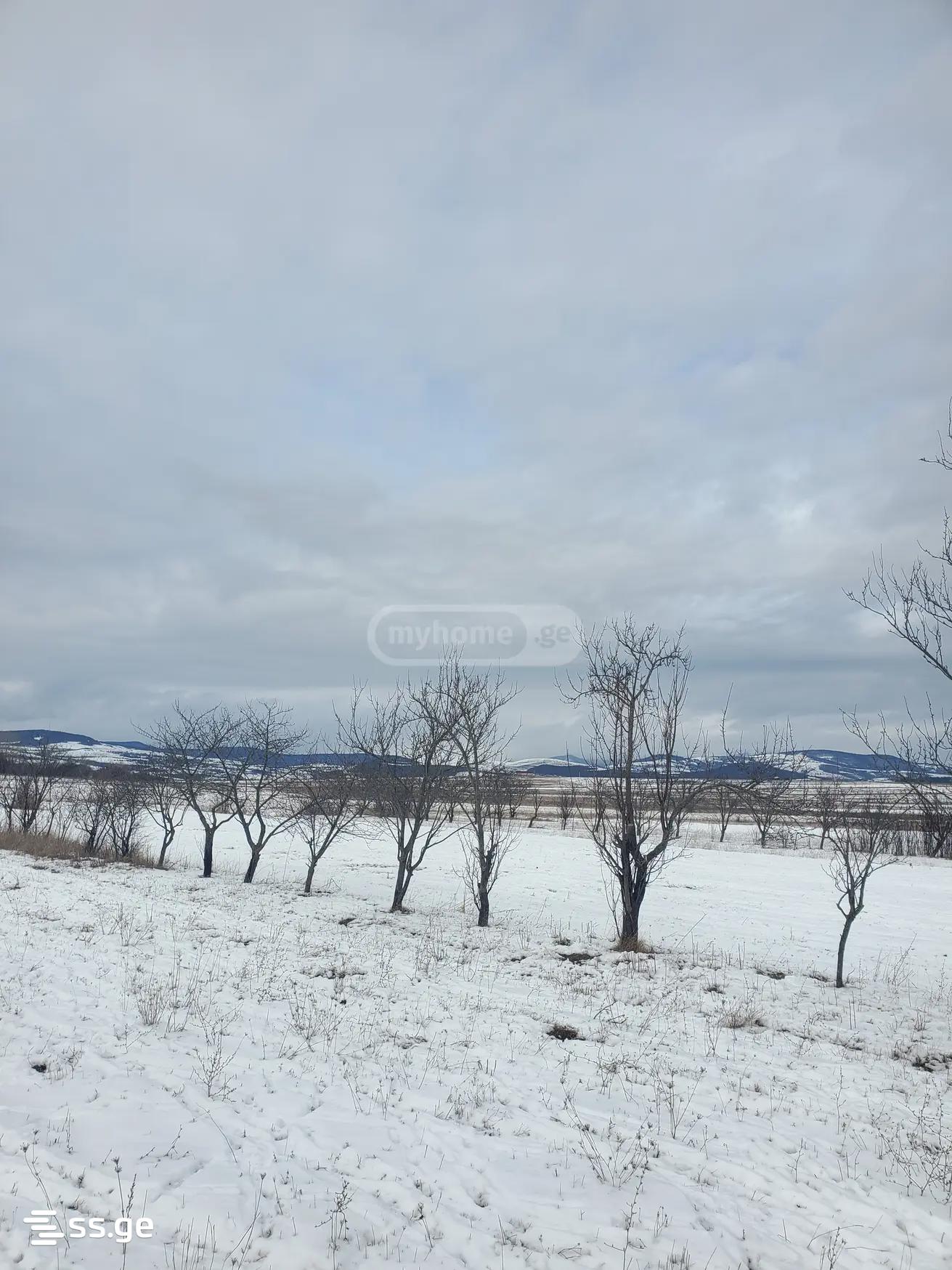 Продажа Земля в Душети view 6