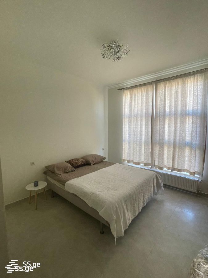 3 Room Private House For Rent. Nadzaladevi view 2