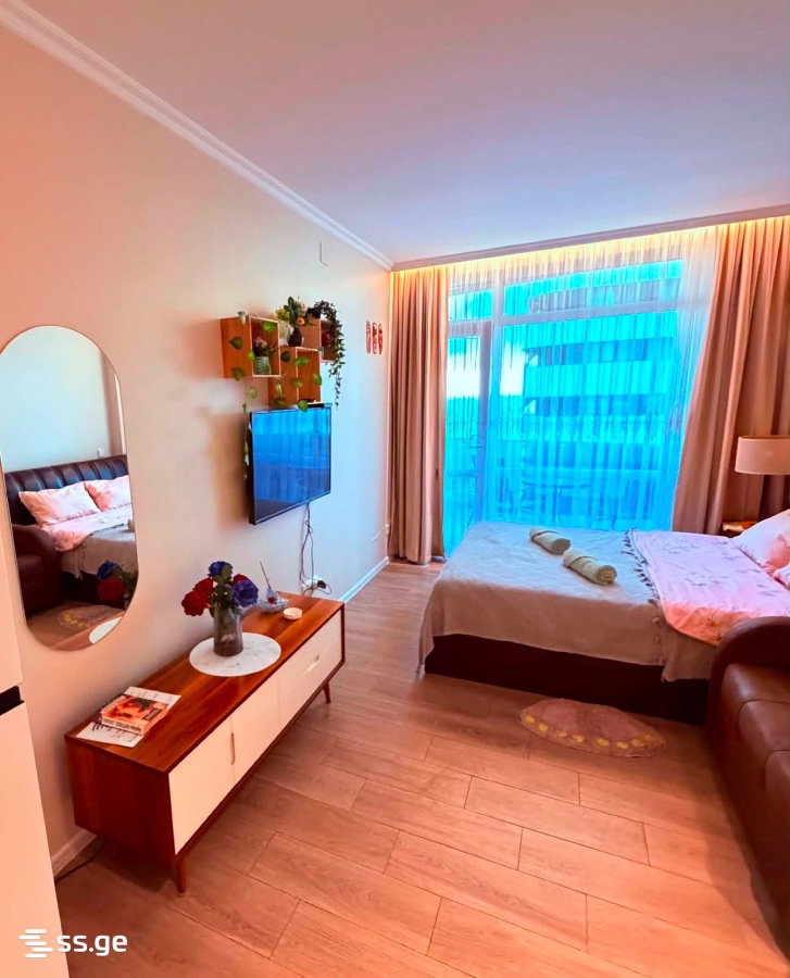 1 Room Flat Daily Rent. Batumi view 12