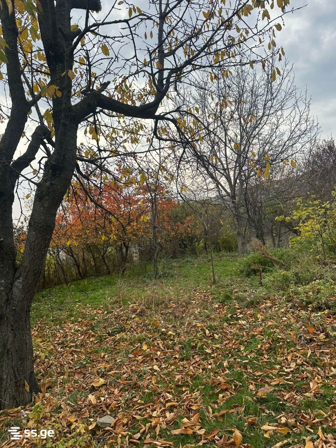 Land For Sale. Mtatsminda view 4