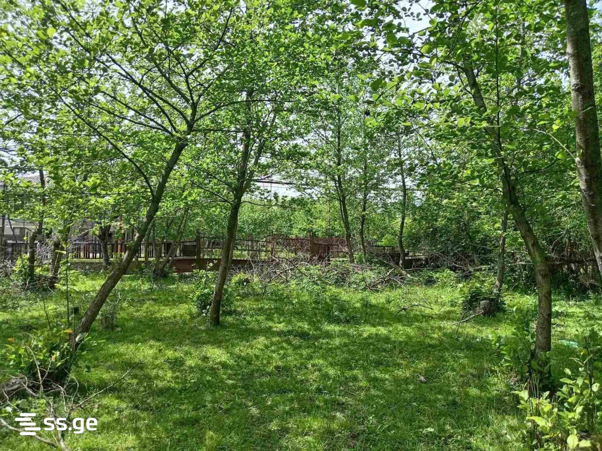 Land For Sale. Samtredia view 3
