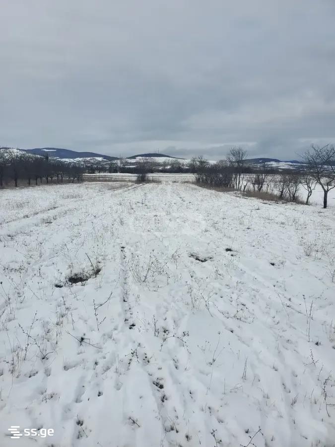Land For Sale. Dusheti view 13