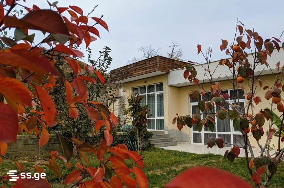 7 Room Private House Daily Rent. Didi Digomi view 9