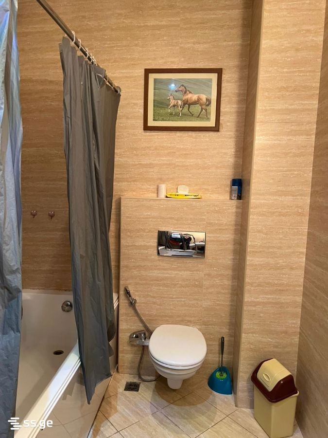 3 room Flat Lease. Avlabari - Widok 4