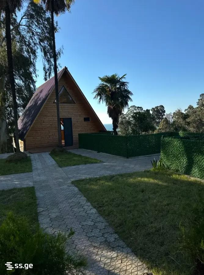 2 Room Private House Daily Rent. Tsikhisdziri view 11
