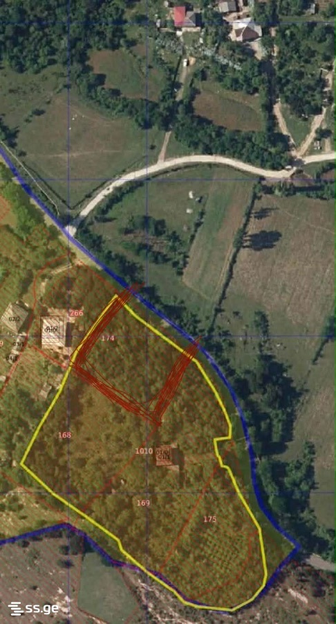 Land For Sale. Kutaisi view 1