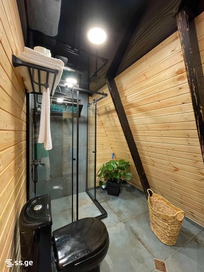 2 Room Summer Cottage Daily Rent. Batumi view 11