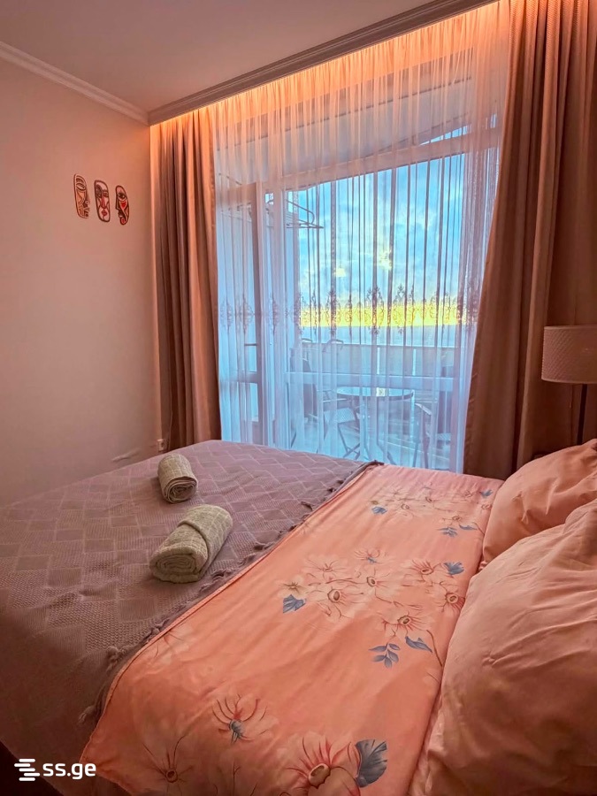 1 Room Flat Daily Rent. Batumi view 13