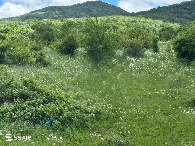 Продажа Земля в навдараанткари view 3