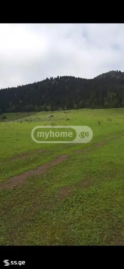 Продажа Земля в Боржоми view 2