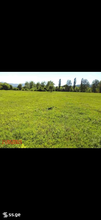 Продажа Земля в тианети view 4