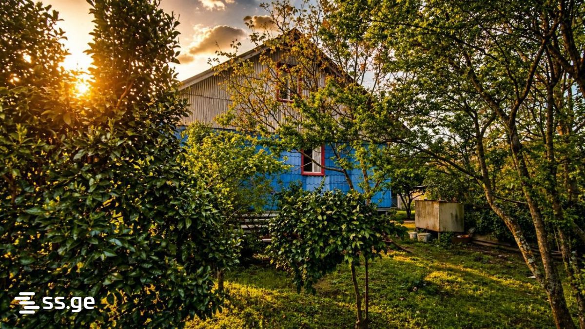 6 Room Summer Cottage For Sale view 3