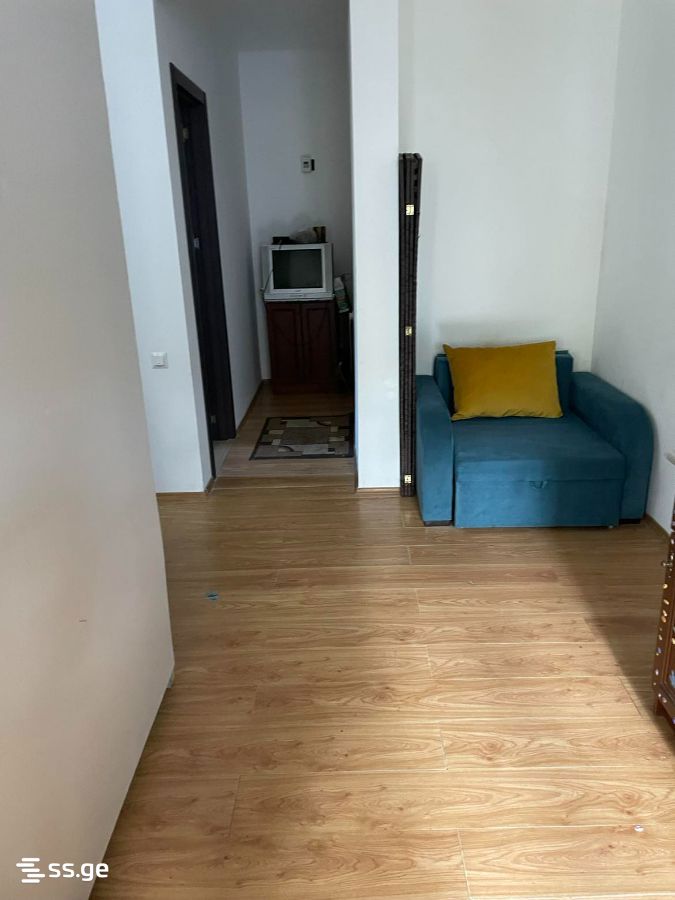 2 Room Summer Cottage For Rent. Tskneti view 11