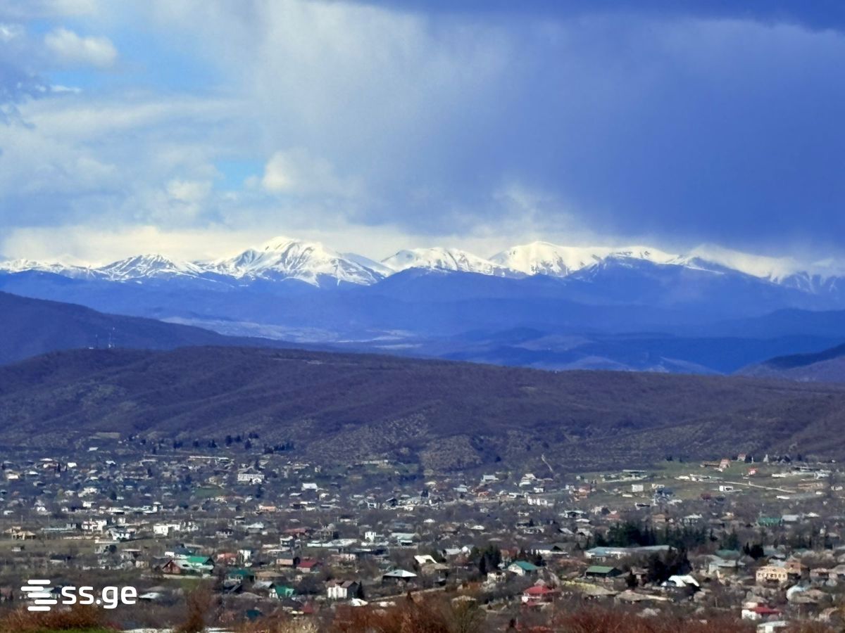 Land For Sale. Navdaraantkari view 6
