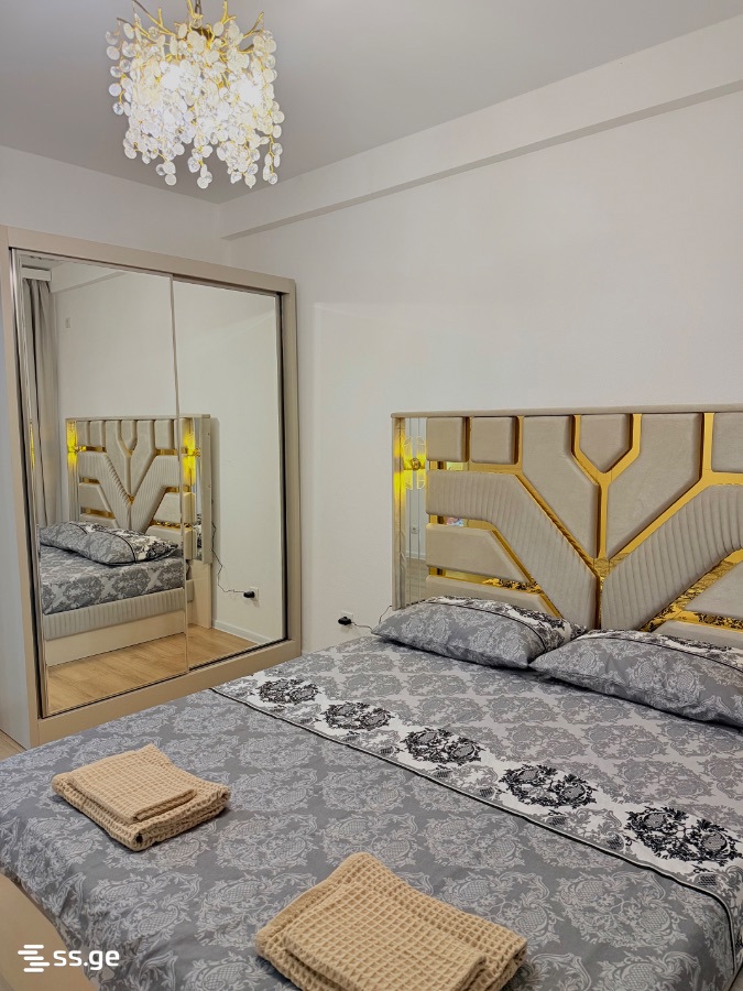 2 Room Flat Daily Rent. Varketili view 3
