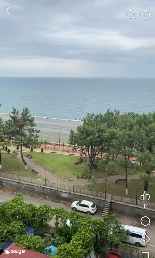 Private House Daily Rent. Tsikhisdziri view 8