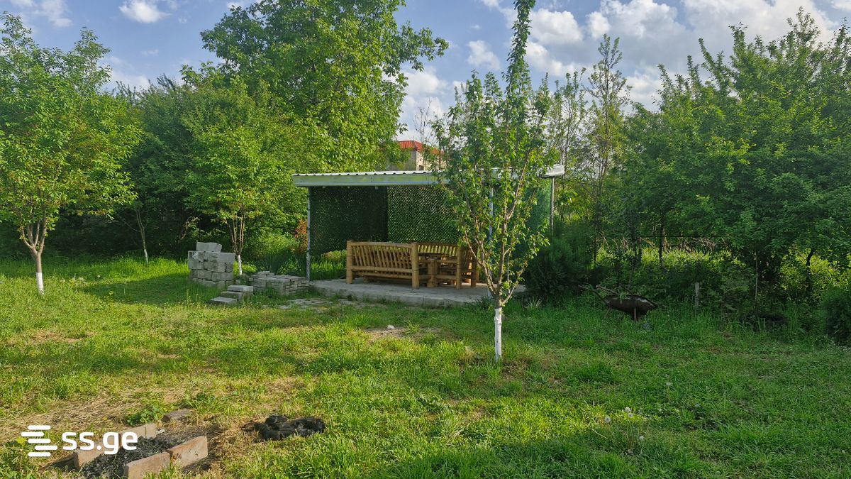 Summer Cottage For Sale. Telavi view 5