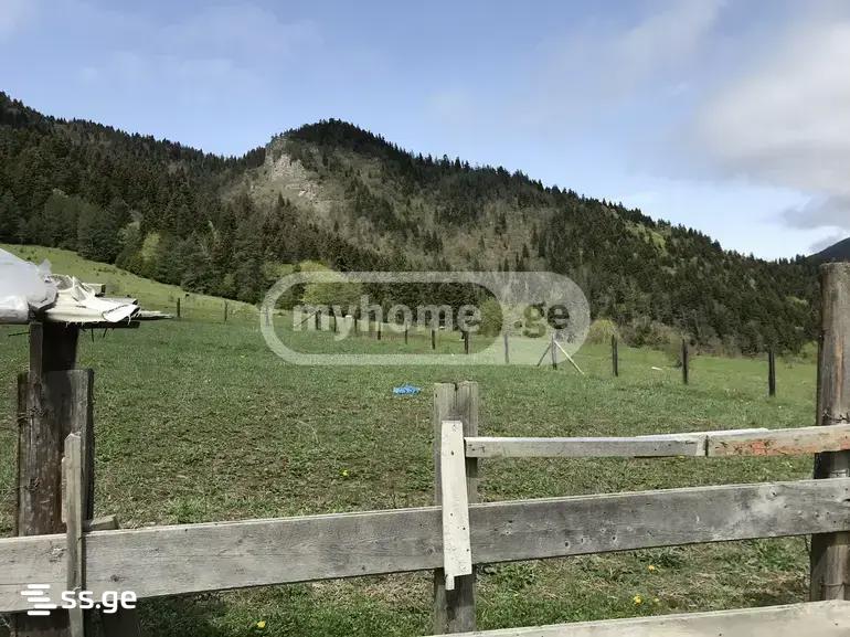 Продажа Земля в Боржоми view 3