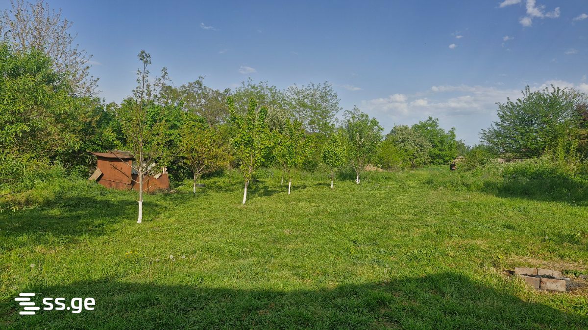 Summer Cottage For Sale. Telavi, 4 of 4