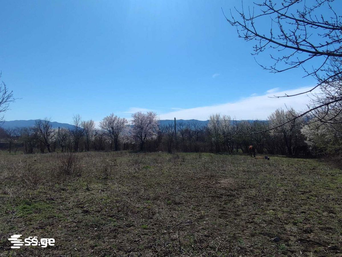Land For Sale. Tsilkani view 1