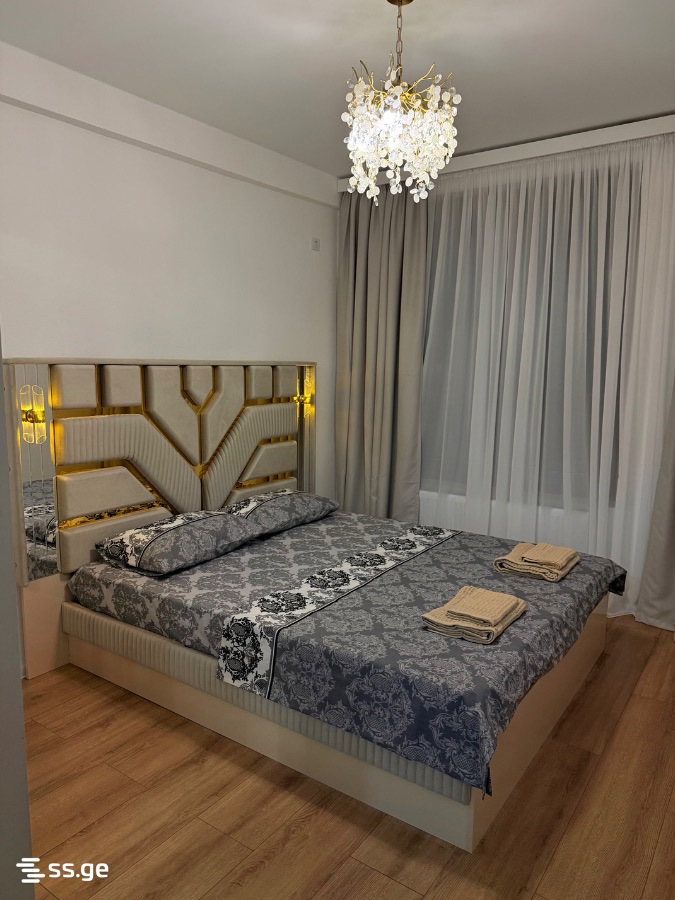 2 Room Flat Daily Rent. Varketili view 5