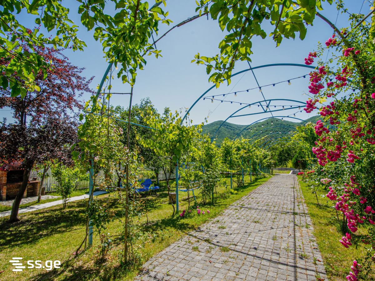 8 Room Private House For Sale view 3
