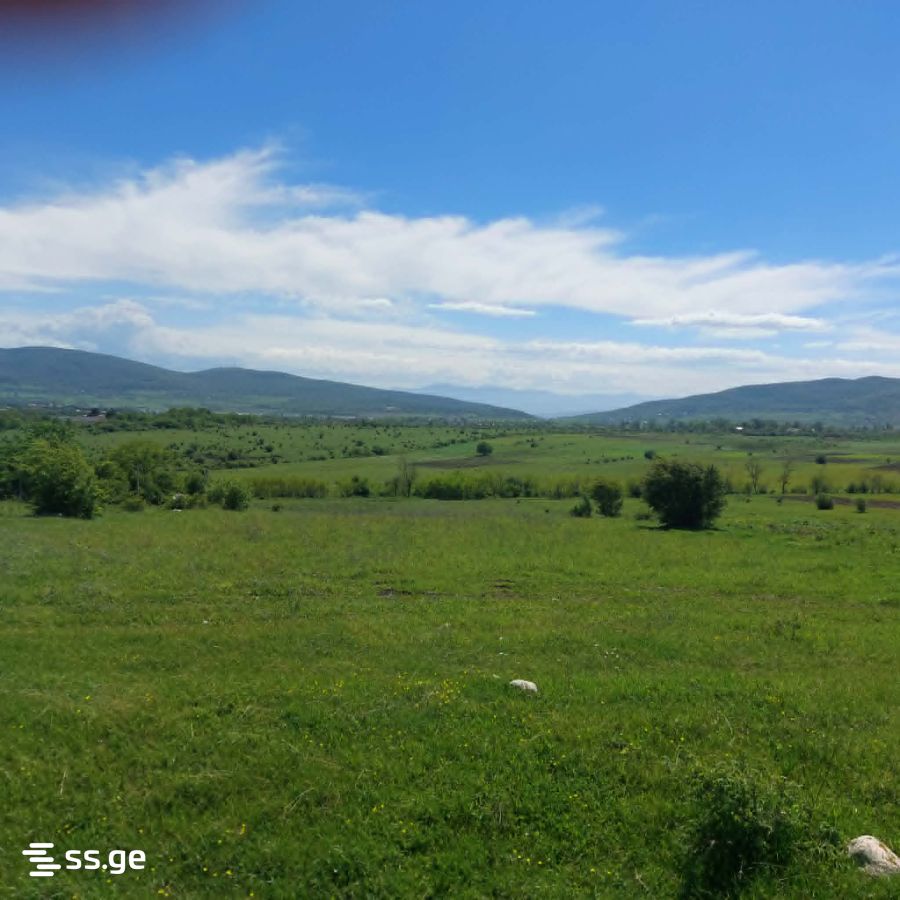 იყიდება მიწა დუშეთიში view 2