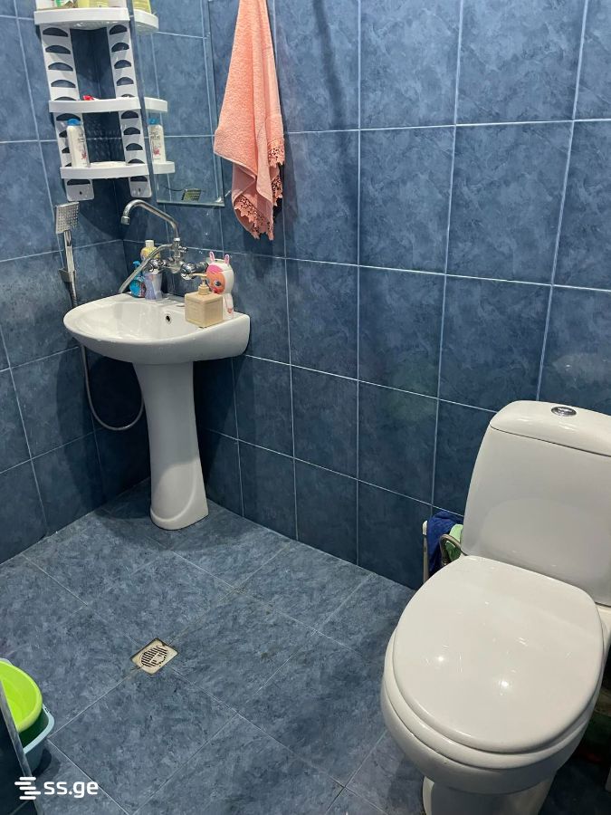 2 Room Summer Cottage For Rent. Tskneti view 4