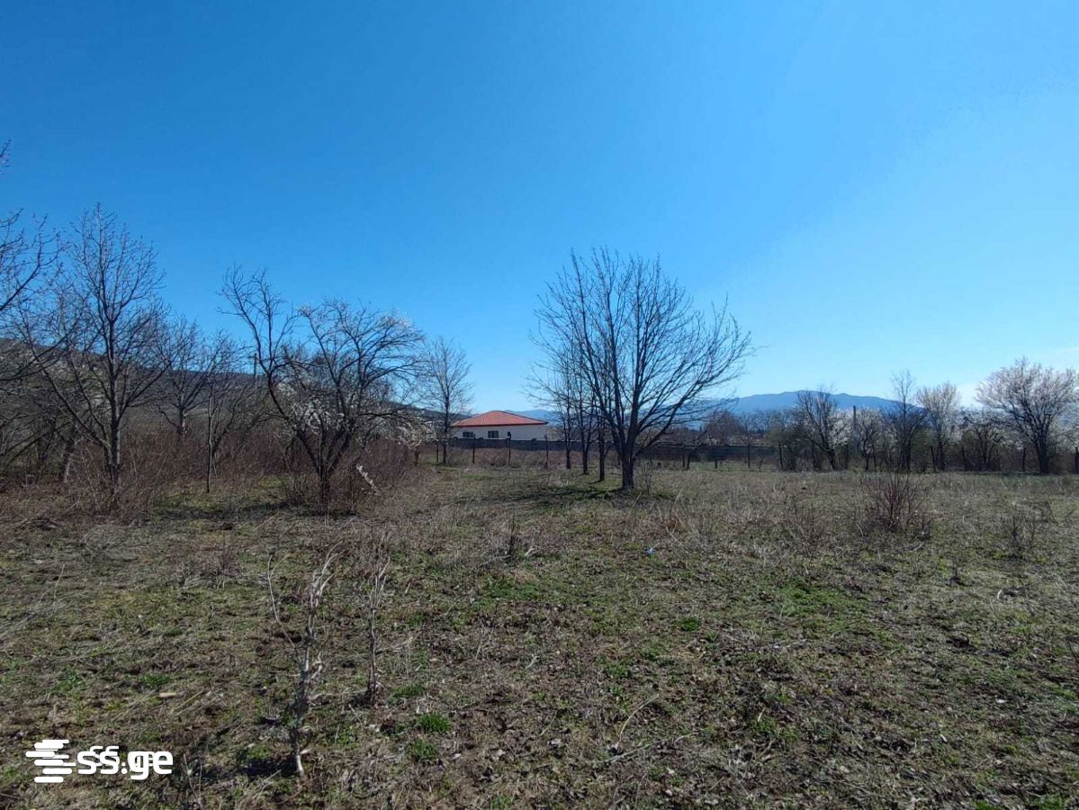 Land For Sale. Tsilkani view 7