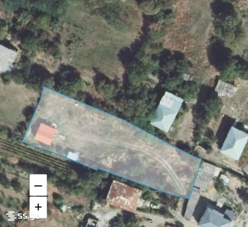 Summer Cottage For Sale. Telavi, 1 of 4
