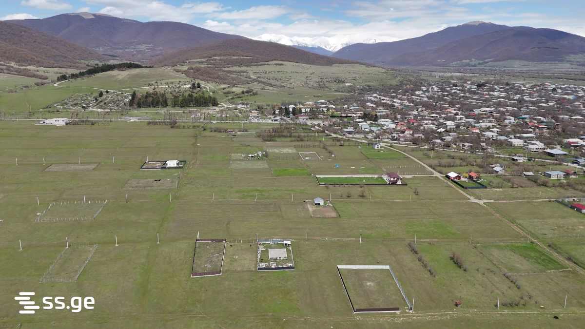 Land For Sale. Tianeti view 1