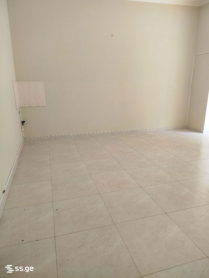 Commercial Space For Rent. Kutaisi view 4