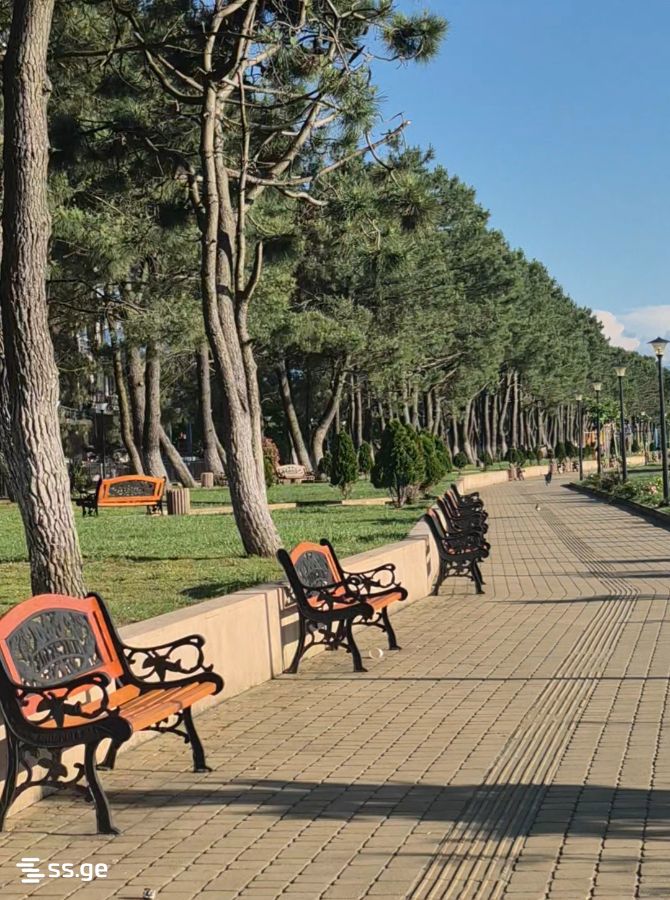 Private House Daily Rent. Tsikhisdziri view 9