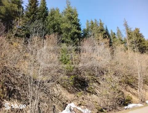 Продажа Земля в местиа view 2