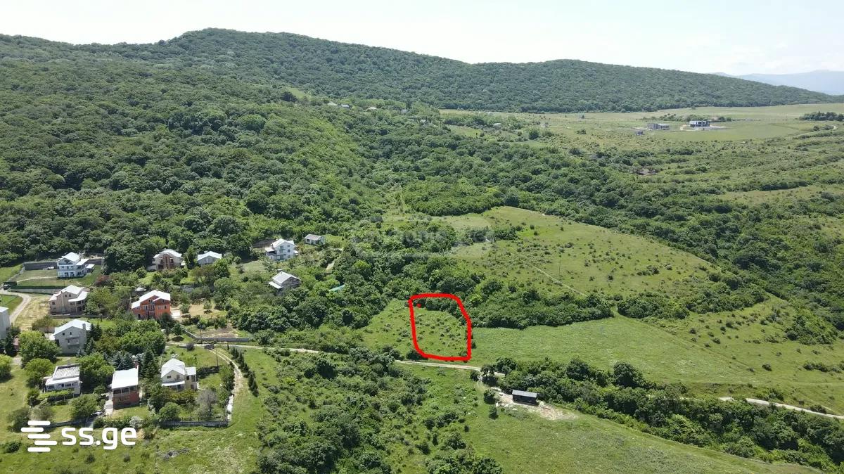 იყიდება მიწა ცეროვანიში view 4